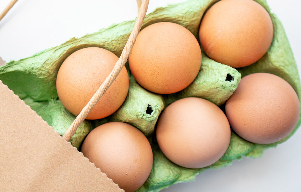 Najlepszy jajowar do gotowania jajek – Ranking 2021