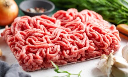 Najlepsza maszynka do mielenia mięsa – Ranking 2024
